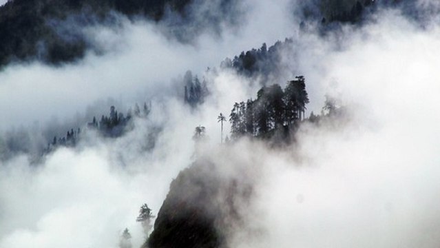 हिमाचल प्रदेश के कुल्लू में बादल फटने से एक की मौत, 3 घायल