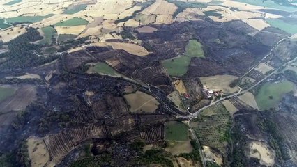 Çanakkale, qui combat un incendie de forêt depuis 3 jours, a été vu du ciel ! Les champs luxuriants sont devenus gris