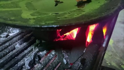 Quail grilled on charcoal