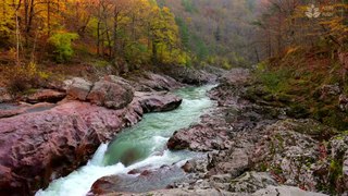 Soothing Nature Scenery: 1 Hour of Turquoise Mountain Water Stream