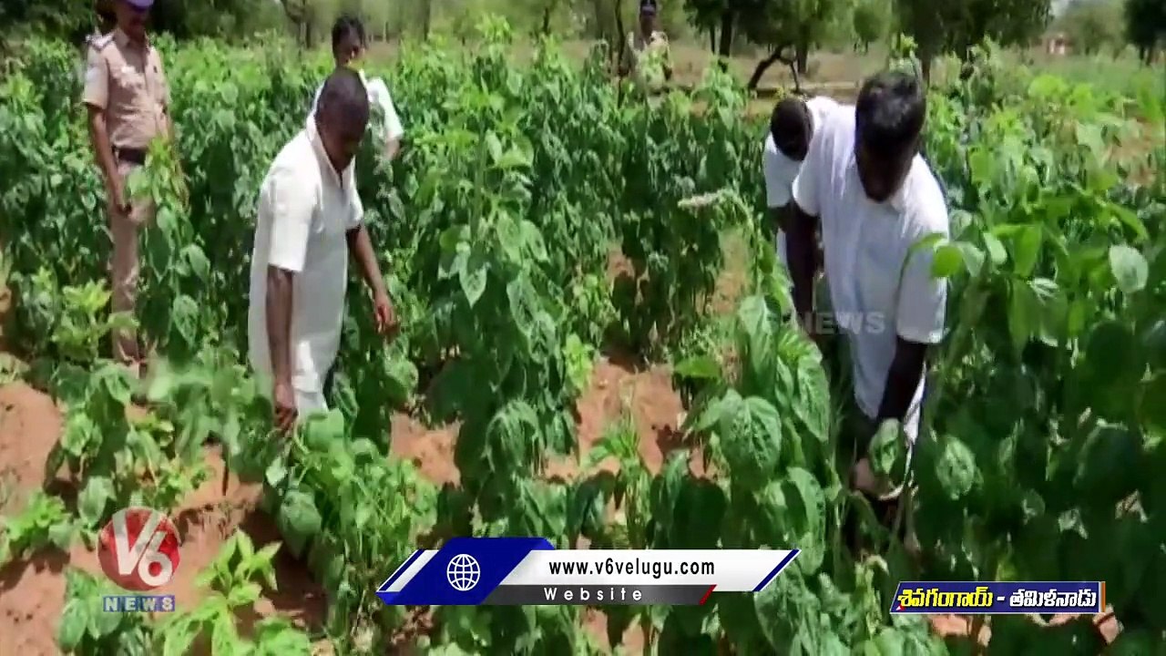 Prisoners Put In Open Air Jail For Cultivating Farmland _ Tamil Nadu _ V6 News