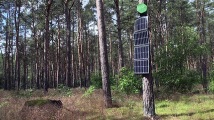 Electronic 'noses' help sniff out forest fires in Germany