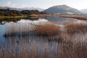 Cambrian News readers' fantastic photos