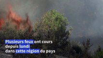 Des incendies font rage près d'Athènes alors que la Grèce est frappée par la canicule