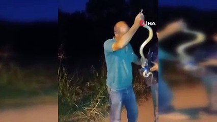Bursa'da zehirli yılanla yaptığı hayrete düşürdü!