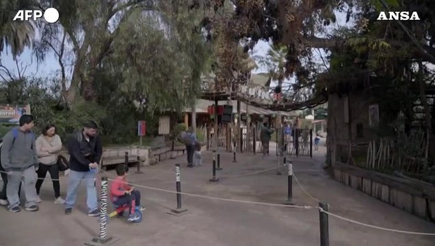 Cile, cucciolo di asino somalo nuova attrazione allo zoo di Buin