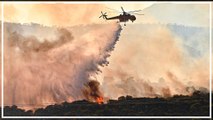 Badeorte nahe Athen wegen Waldbränden evakuiert