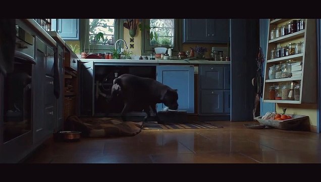 Kala Azar (2020) WEBRip FHD [Τζάνις Ραφαηλίδου] part 1/1