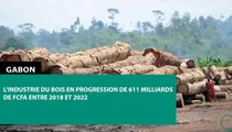 [#Reportage] #Gabon : l’industrie du bois en progression de 611 milliards de FCFA entre 2018 et 2022