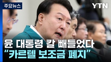 尹 "이권·부패 카르텔 보조금 전부 폐지...수해복구에 투입" / YTN