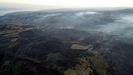 Çanakkale'deki orman yangının içler acısı görüntüleri!