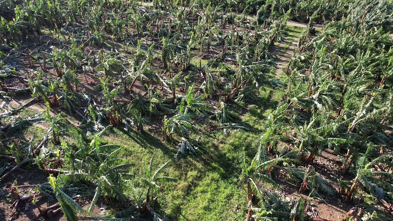 Imagens aéreas mostram destruição em casas e plantações causadas pelo ciclone em cidade de SC