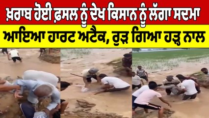 ਖ਼ਰਾਬ ਹੋਈ ਫ਼ਸਲ ਨੂੰ ਦੇਖ ਕਿਸਾਨ ਨੂੰ ਲੱਗਾ ਸਦਮਾ, ਆਇਆ ਹਾਰਟ ਅਟੈਕ, ਰੁੜ ਗਿਆ ਹੜ੍ਹ ਨਾਲ |OneIndia Punjabi
