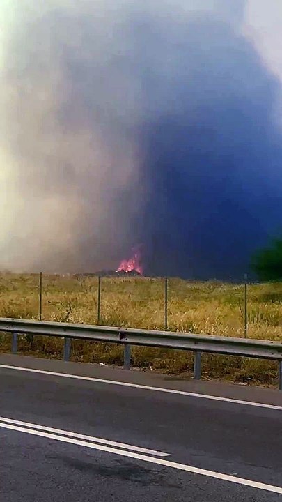 Η σπαρακτική έκκληση για βοήθεια της Σάσας Σταμ...