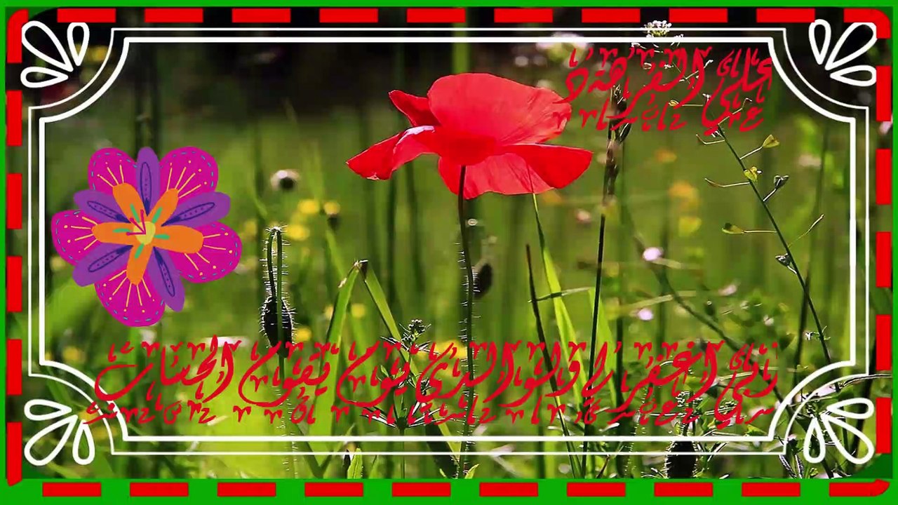 تلاوة خاشعة مؤثرة