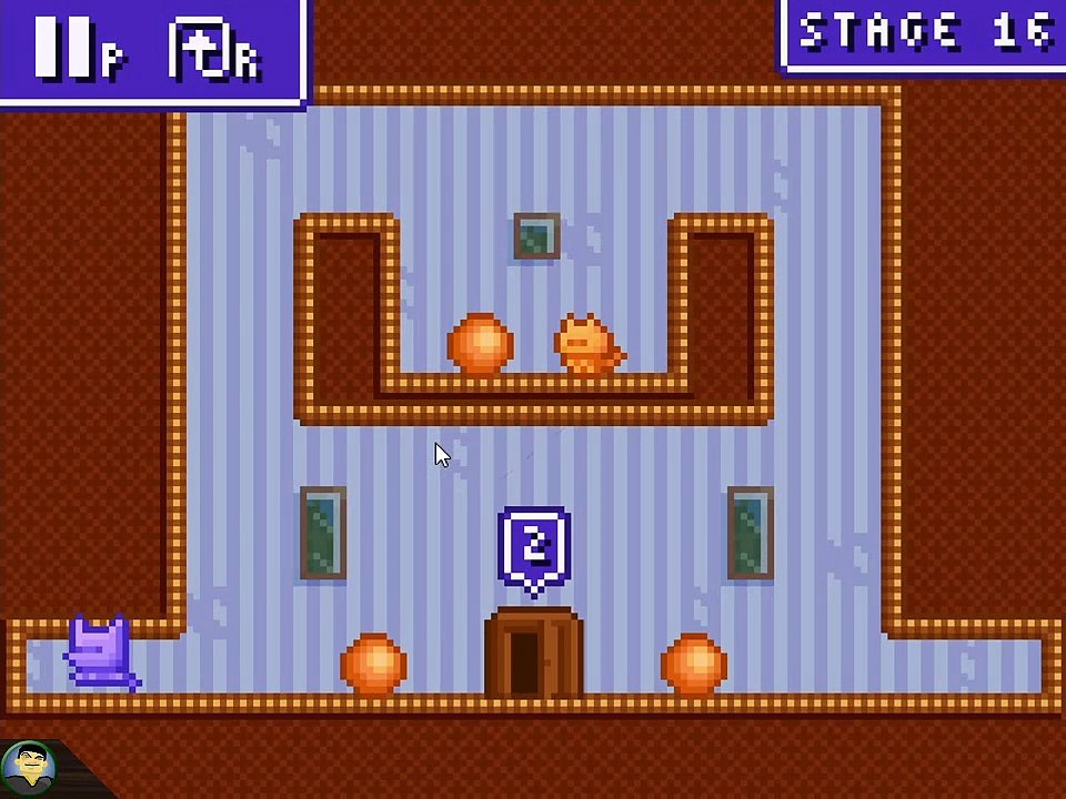 Von katzen und hüpfbällen... | cat house ★ let's online 262