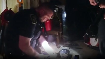 Watch: 95lb Rottweiler freed after getting stuck under shed in Texas