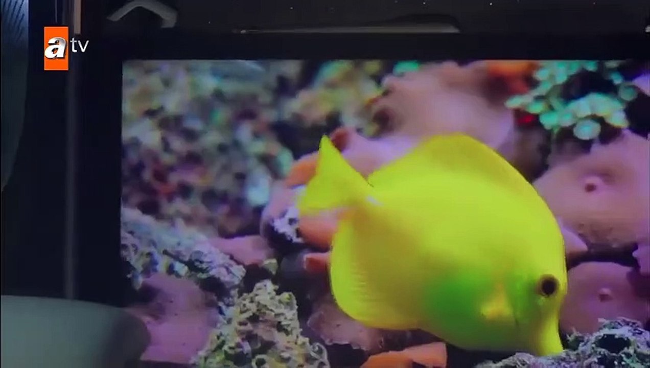 مسلسل زوجة الأب الحلقة 4 مترجمة القسم 2