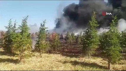 Le feu de chaume qui s'est déclaré dans le champ s'est propagé à la casse