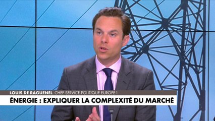 Louis de Raguenel : «Dans le fond, la France aurait pu et pourrait être auto-suffisante»