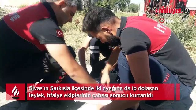 Ayağına ip dolaşan leyleği itfaiye ekipleri kurtardı