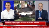 Hava Tahmin Uzmanı Cengiz Çelik değerlendirdi: Türkiye'yi nasıl sıcaklar bekliyor