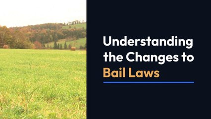 The Smart Trick of why eliminate cash bail That No One is Discussing