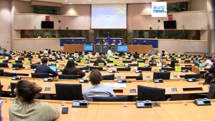 La Eurocámara critica a la Comisión Europea por firmar un acuerdo con el "cruel dictador" tunecino