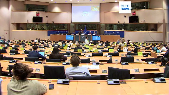 La Eurocámara critica a la Comisión Europea por firmar un acuerdo con el cruel dictador tunecino