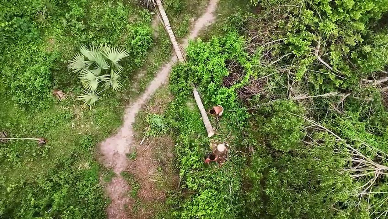 100 Days Building A Modern Underground Hut With A Grass Roof And A Swimming Pool House.