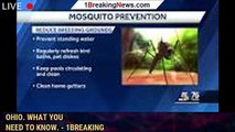 West Nile virus detected in mosquito sample in Cincinnati, Ohio. What you