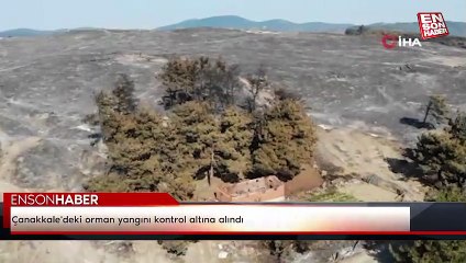 Çanakkale'deki orman yangını kontrol altına alındı