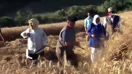 La municipalité de Kestel a récolté du blé pour le pain le moins cher de Turquie