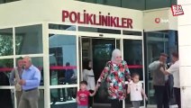 Güneydoğu Anadolu Bölgesi'nde kene ve akrep vakalarında artış