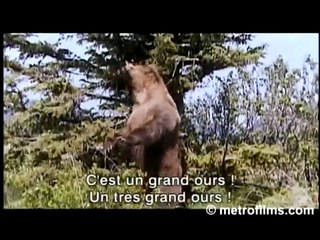 Grizzly Man (2005) - Bande annonce