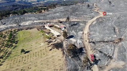 Incendie de forêt à Çanakkale sous contrôle