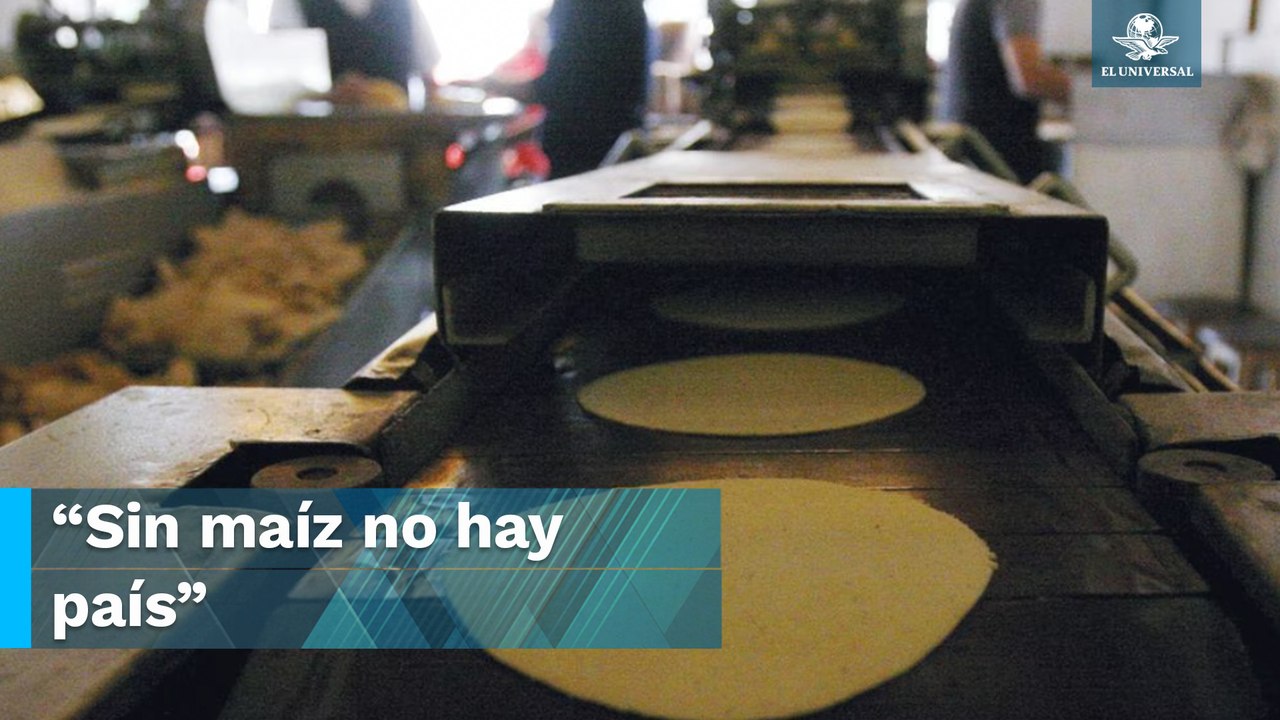 AMLO llama a empresarios del maíz a mantener precios justos