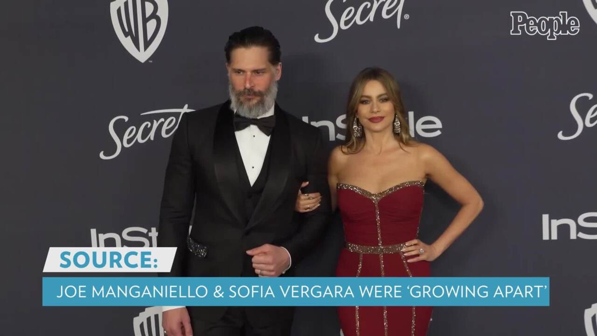 Sofia Vergara and Joe Manganiello announce divorce