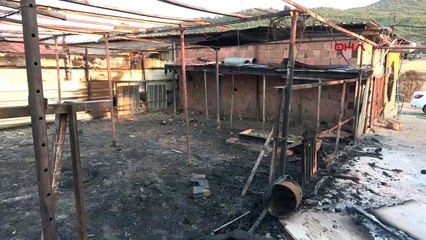 Çanakkale'deki Orman Yangınında 13 Büyükbaş ve 10 Keçi Yanarak Öldü