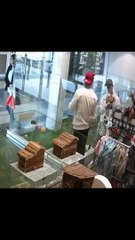 WATCH: French bulldog stolen from pet shop