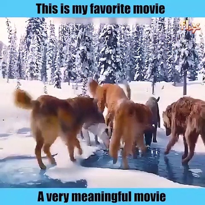 Netflix Movies | Best Movies | Best Movies On Netflix,Best Movies On Netflix 2023