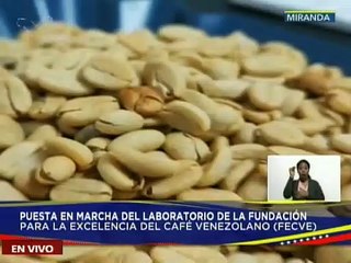 FECVE pone en marcha laboratorio para capacitar a productores de café en barismo, tostión y catación