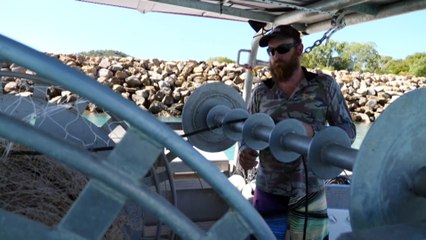 Queensland fishers concerned a gillnet ban will decimate their industry
