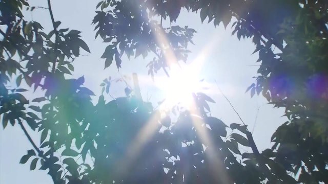 [날씨] 서울 등 전국 다시 폭염주의보 , 서울 33℃...주말 다시 장맛비 / YTN