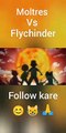 Pokemon moltres vs flychinder battle xy series episode