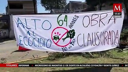 Talan árboles en Xalapa, Veracruz para paso superior vehicular