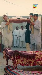 Ye Kis Ka Janaza Hai... Jhok Sarkar #shorts #viral #jhoksarkar #hibabukhari