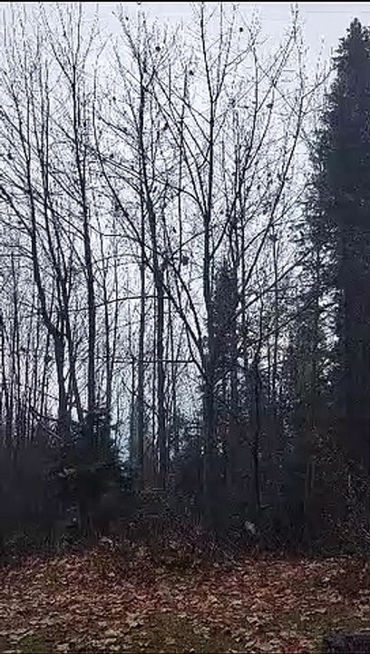 Natural Beauty ll Most beautiful ll Beautiful Places ll Mountain Most Beautiful places of the World