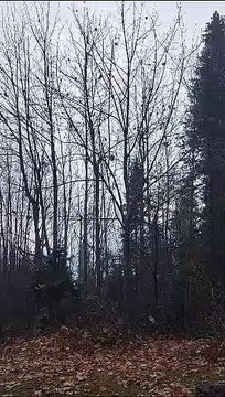 Natural Beauty ll Most beautiful ll Beautiful Places ll Mountain Most Beautiful places of the World