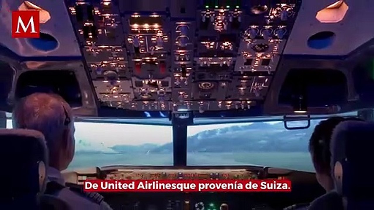 Sorpresa en Chicago: objeto cae del cielo y aterriza en un jardín residencial